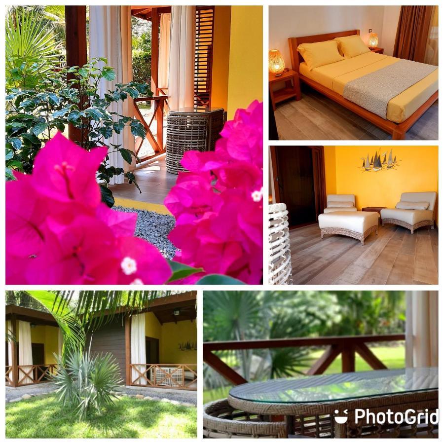 Oasi Apartment Cahuita