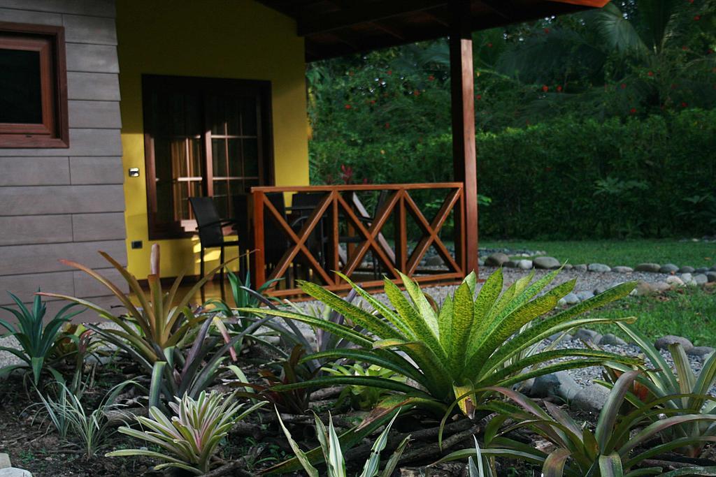 Oasi Apartment *