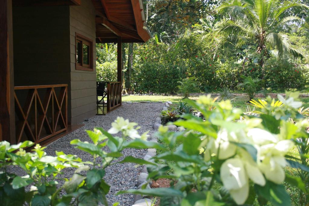 Apartment Oasi