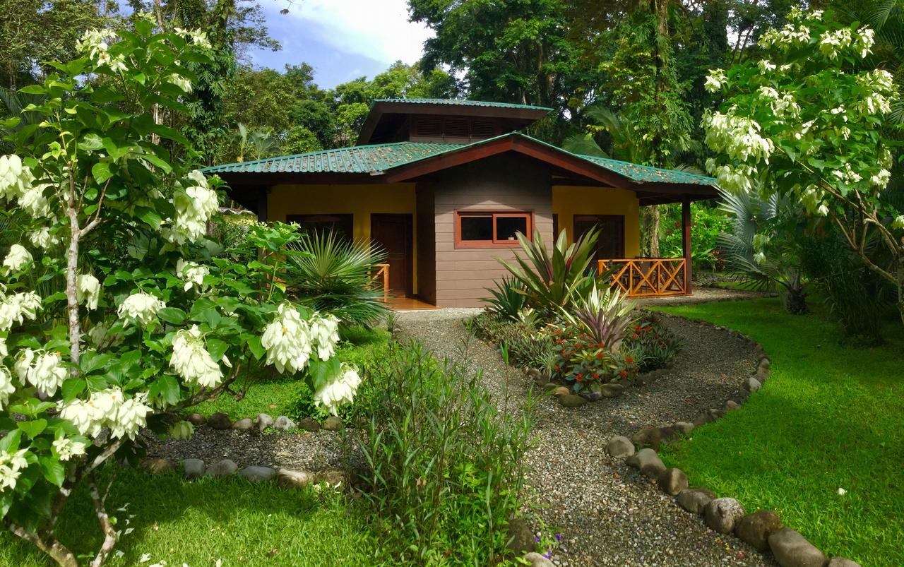 Oasi Apartment