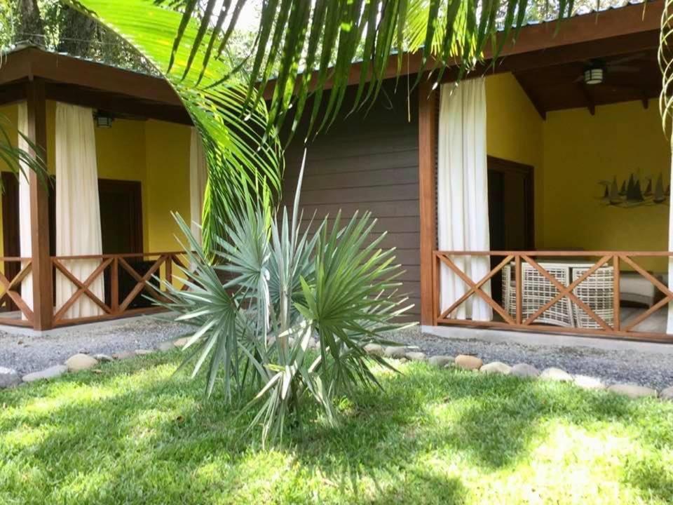 Oasi * Cahuita